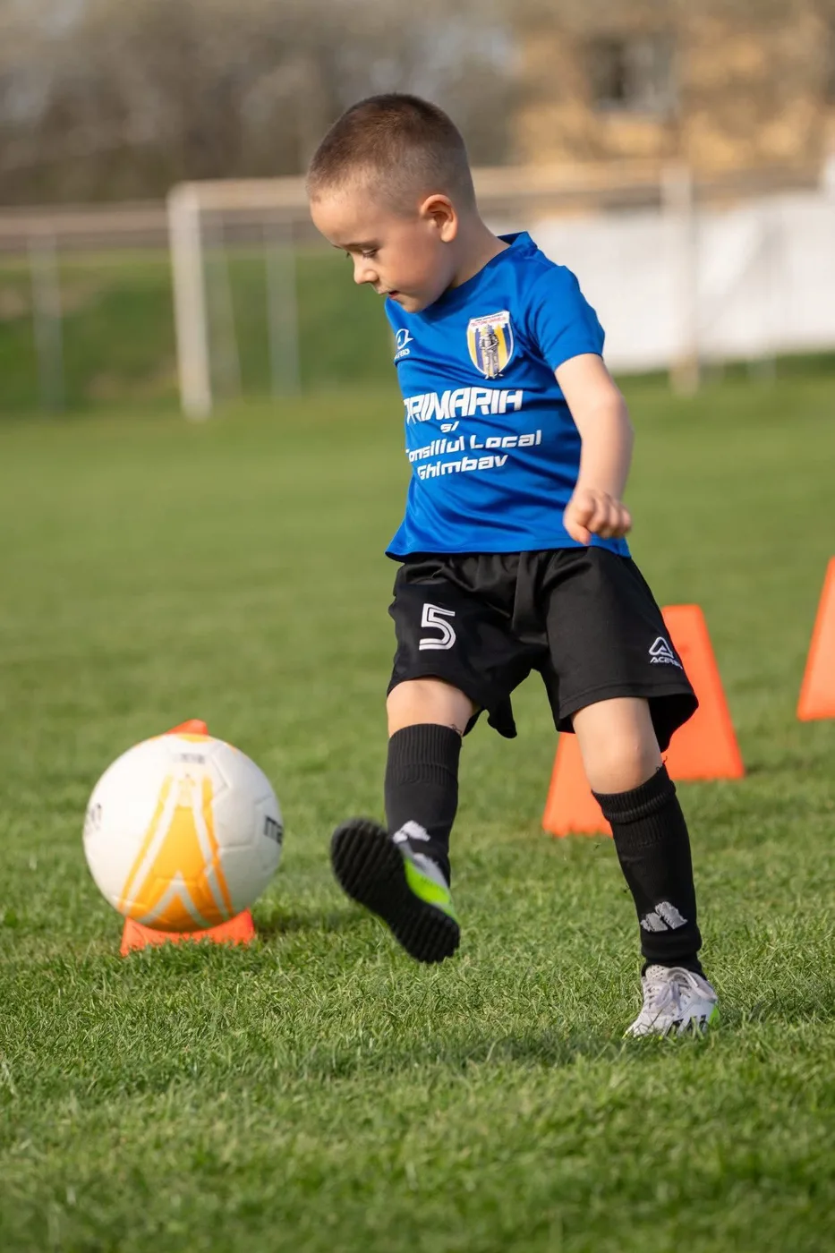 Grupele de copii și juniori ale secției de fotbal Teutonii Ghimbav